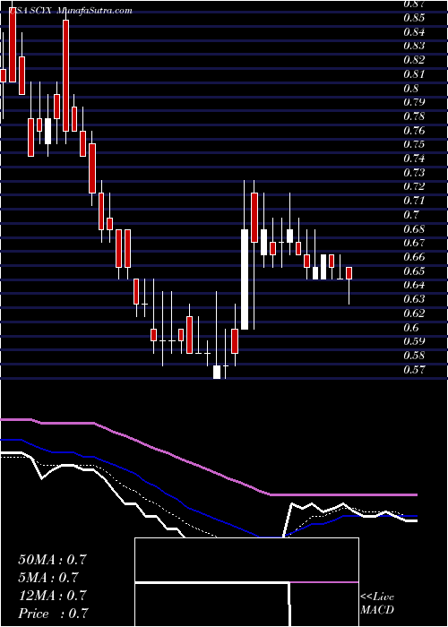  Daily chart ScynexisInc