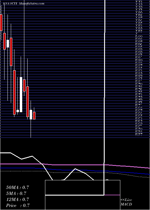  monthly chart ScynexisInc