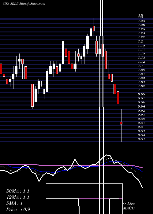  Daily chart Selecta Biosciences, Inc.