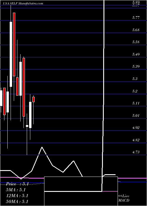  monthly chart GlobalSelf
