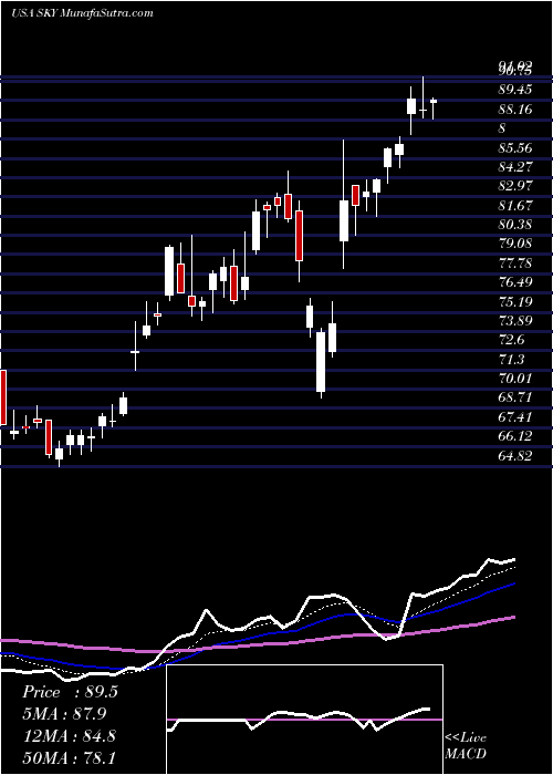  Daily chart SkylineChampion