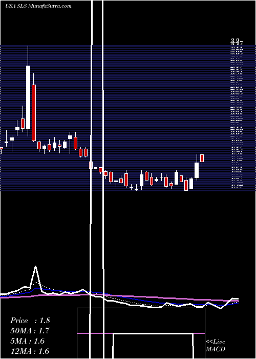  Daily chart SELLAS Life Sciences Group, Inc. 