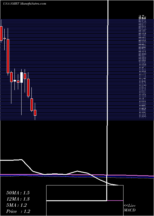  monthly chart SteinMart