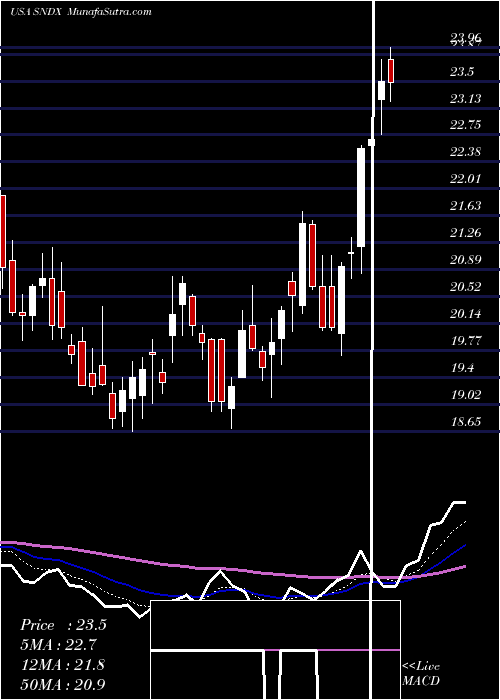  Daily chart SyndaxPharmaceuticals