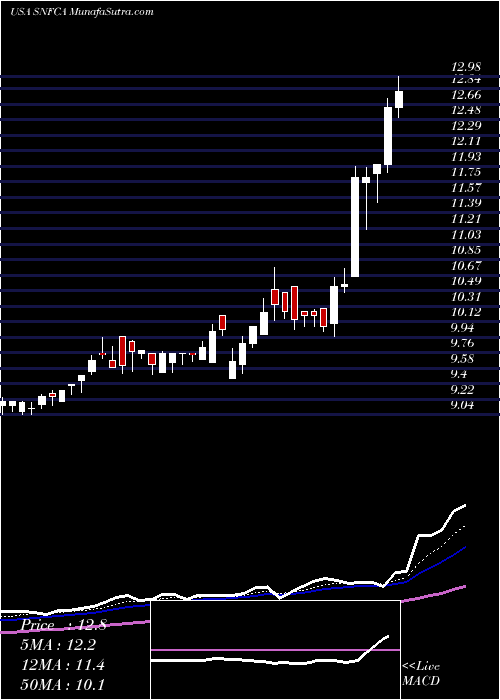  Daily chart SecurityNational