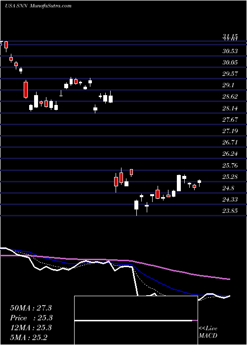  Daily chart SmithNephew