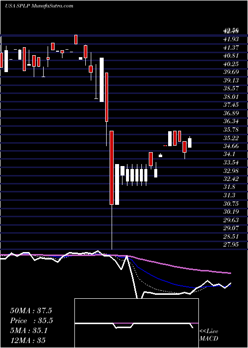 Daily chart SteelPartners