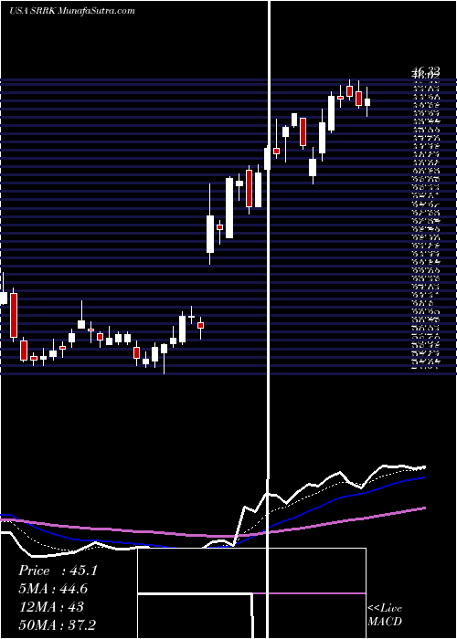 Daily chart Scholar Rock Holding Corporation