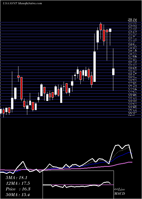  Daily chart SilversunTechnologies