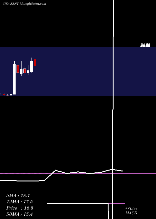  monthly chart SilversunTechnologies