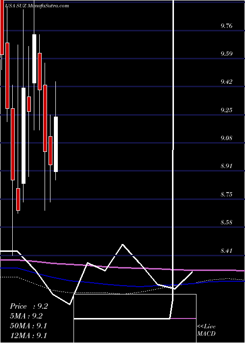  monthly chart SuzanoPapel