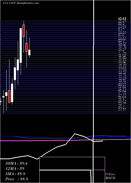  monthly chart TatTechnologies