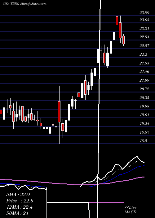 Daily chart ThunderBridge