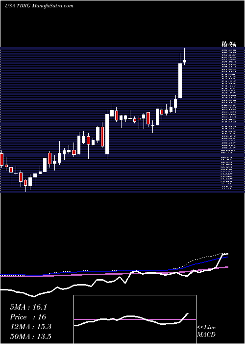  weekly chart ThunderBridge