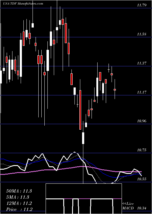  Daily chart TempletonDragon