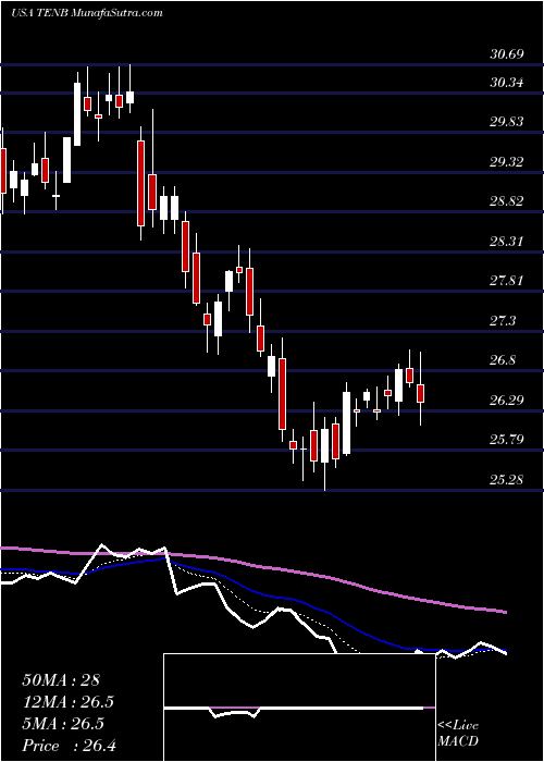  Daily chart TenableHoldings
