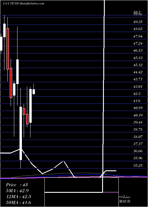  monthly chart TenableHoldings