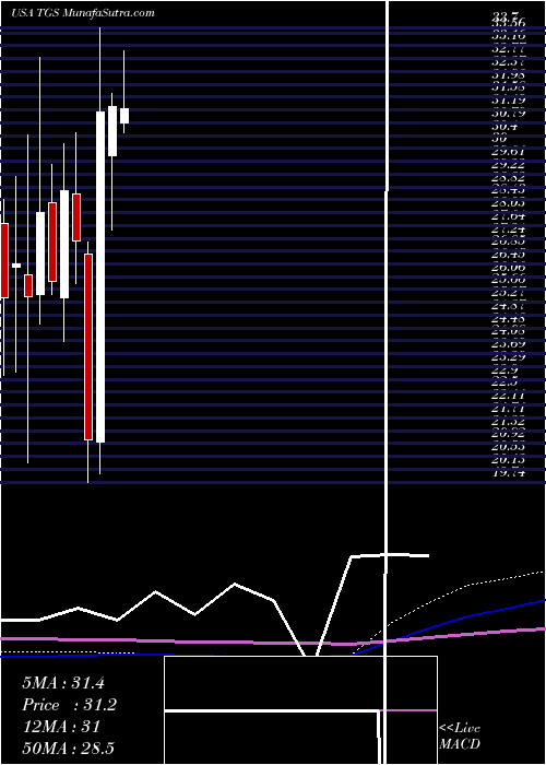  monthly chart TransportadoraDe
