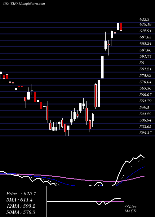  Daily chart Thermo Fisher Scientific Inc