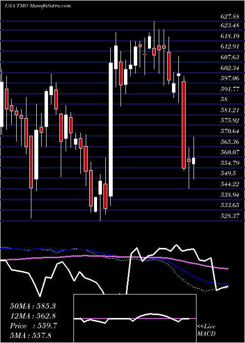  weekly chart ThermoFisher