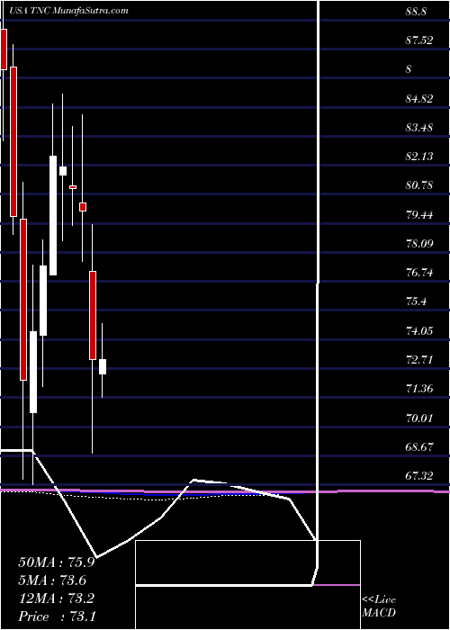 monthly chart TennantCompany