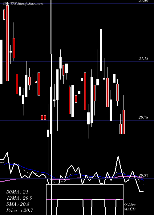  Daily chart TortoisePower