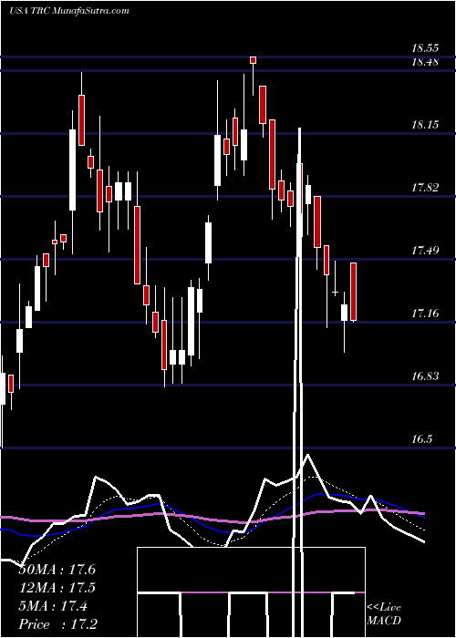  Daily chart TejonRanch