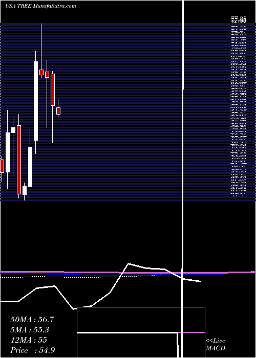  monthly chart LendingtreeInc