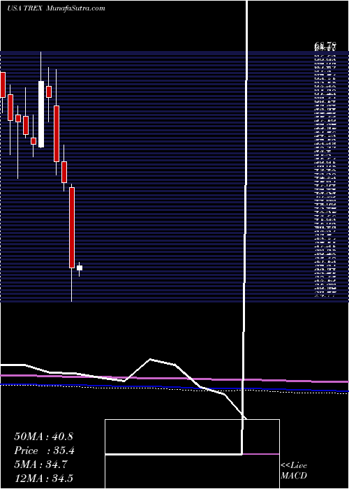  monthly chart TrexCompany