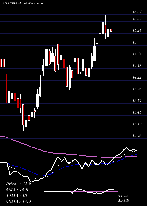  Daily chart TripadvisorInc