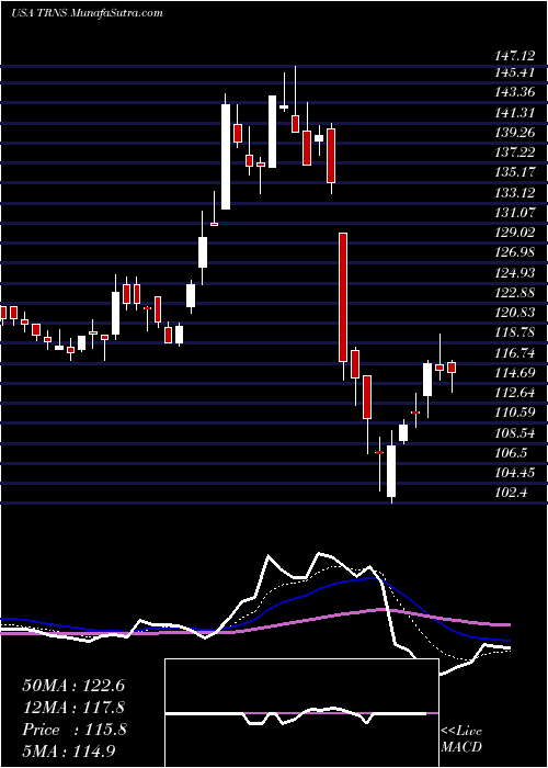  Daily chart TranscatInc