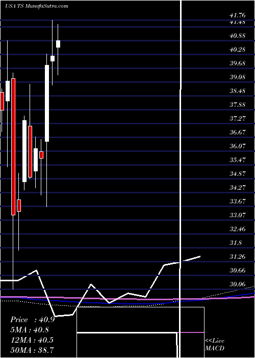  monthly chart TenarisS