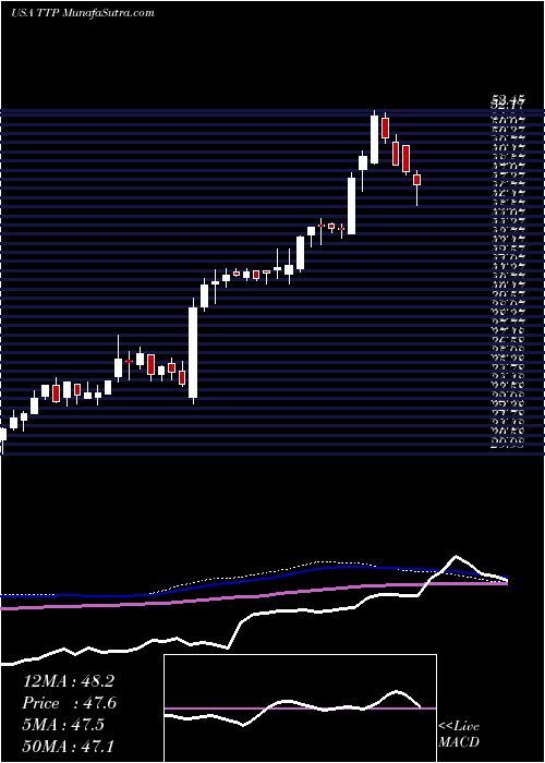  weekly chart TortoisePipeline