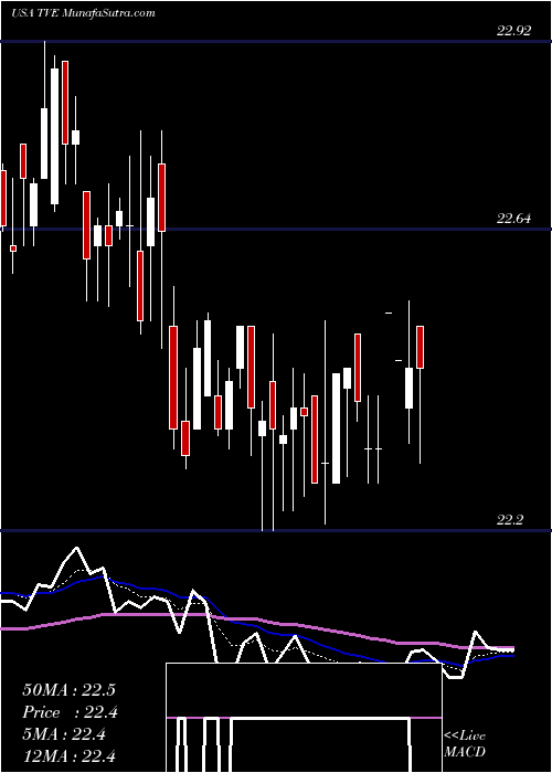  Daily chart TennesseeValley