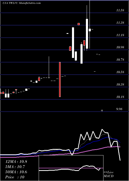  Daily chart TwelveSeas