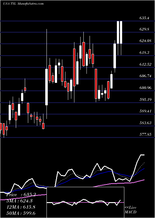  Daily chart TylerTechnologies