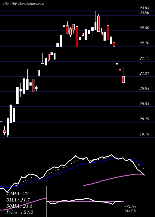  Daily chart UrstadtBiddle