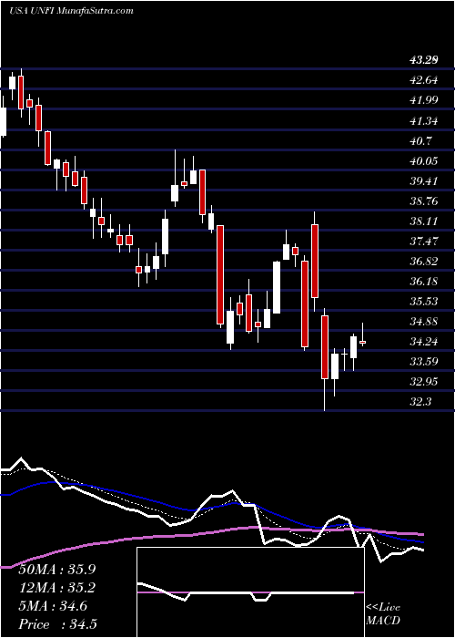  Daily chart UnitedNatural