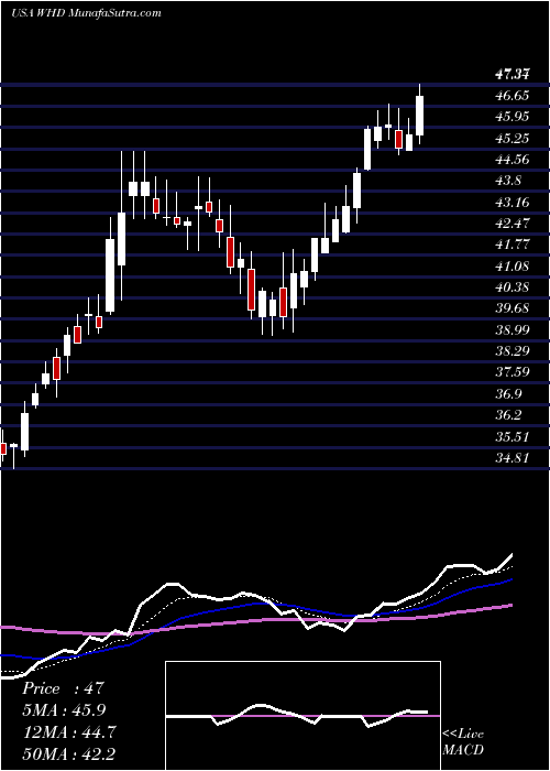 Daily chart CactusInc