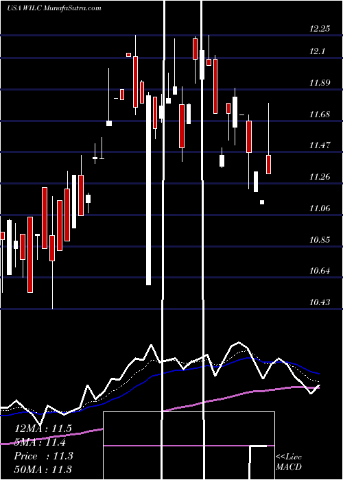  Daily chart G. Willi-Food International,  Ltd.