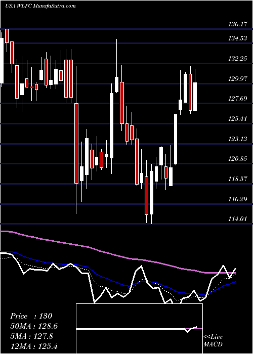  Daily chart WillisLease