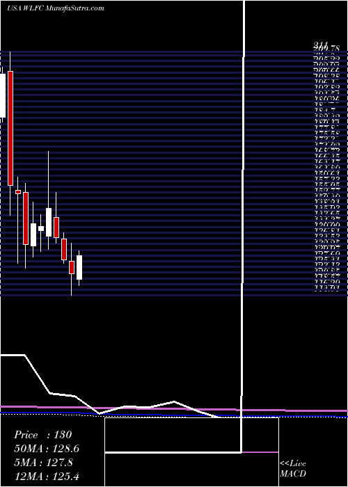  monthly chart WillisLease