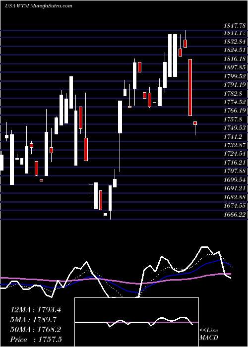  Daily chart WhiteMountains