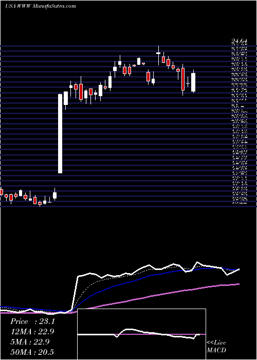  Daily chart WolverineWorld