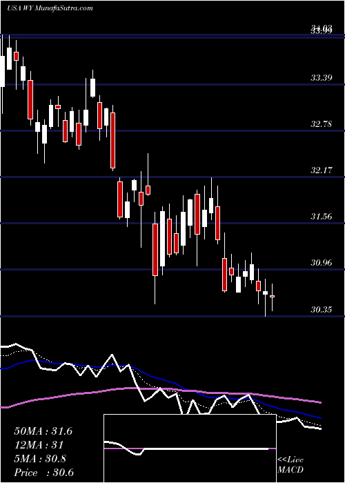  Daily chart WeyerhaeuserCompany