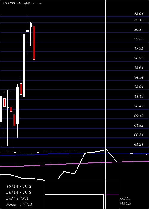  monthly chart XcelEnergy