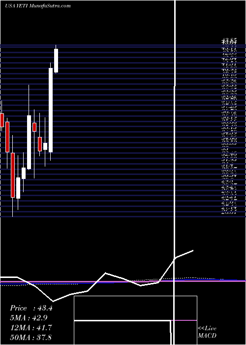  monthly chart YetiHoldings