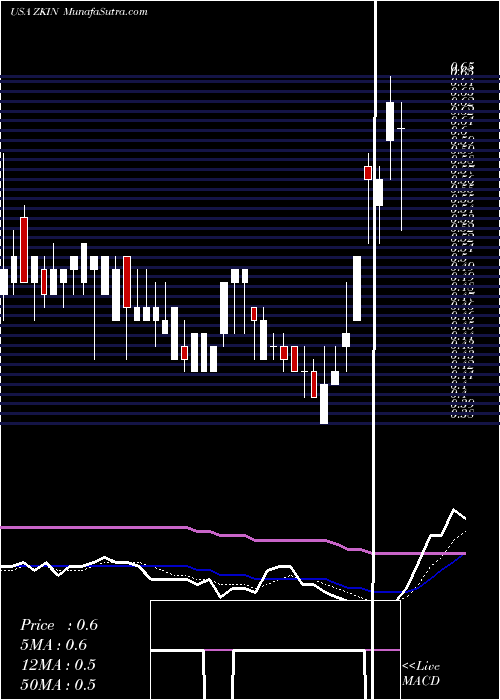  Daily chart ZkInternational