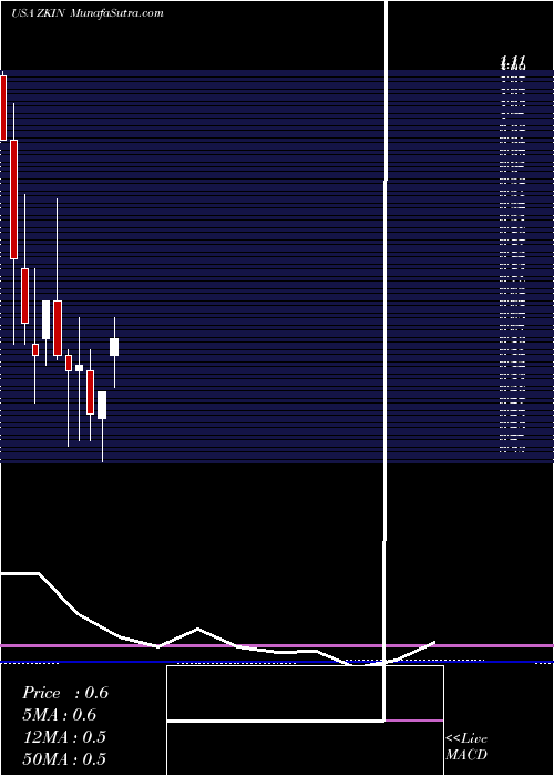  monthly chart ZkInternational