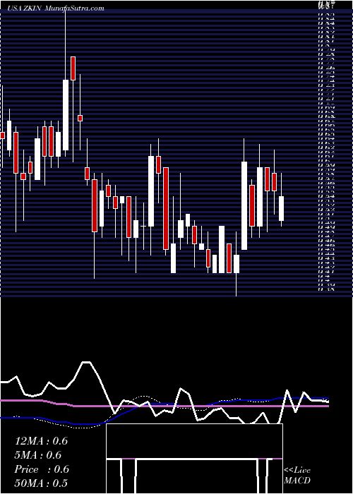  weekly chart ZkInternational